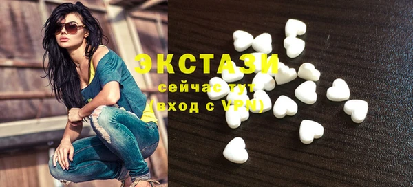 ECSTASY Богданович